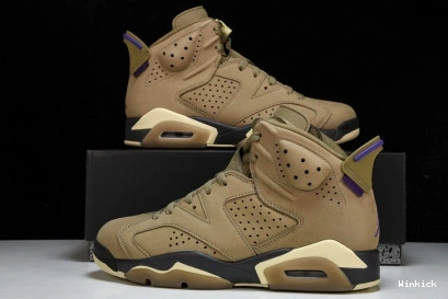 Kelp Gore-Tex Jordan Retro Brown  6 Air FD1643-300 1209